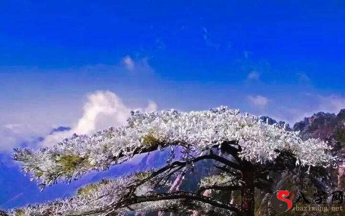 梦见风景很美